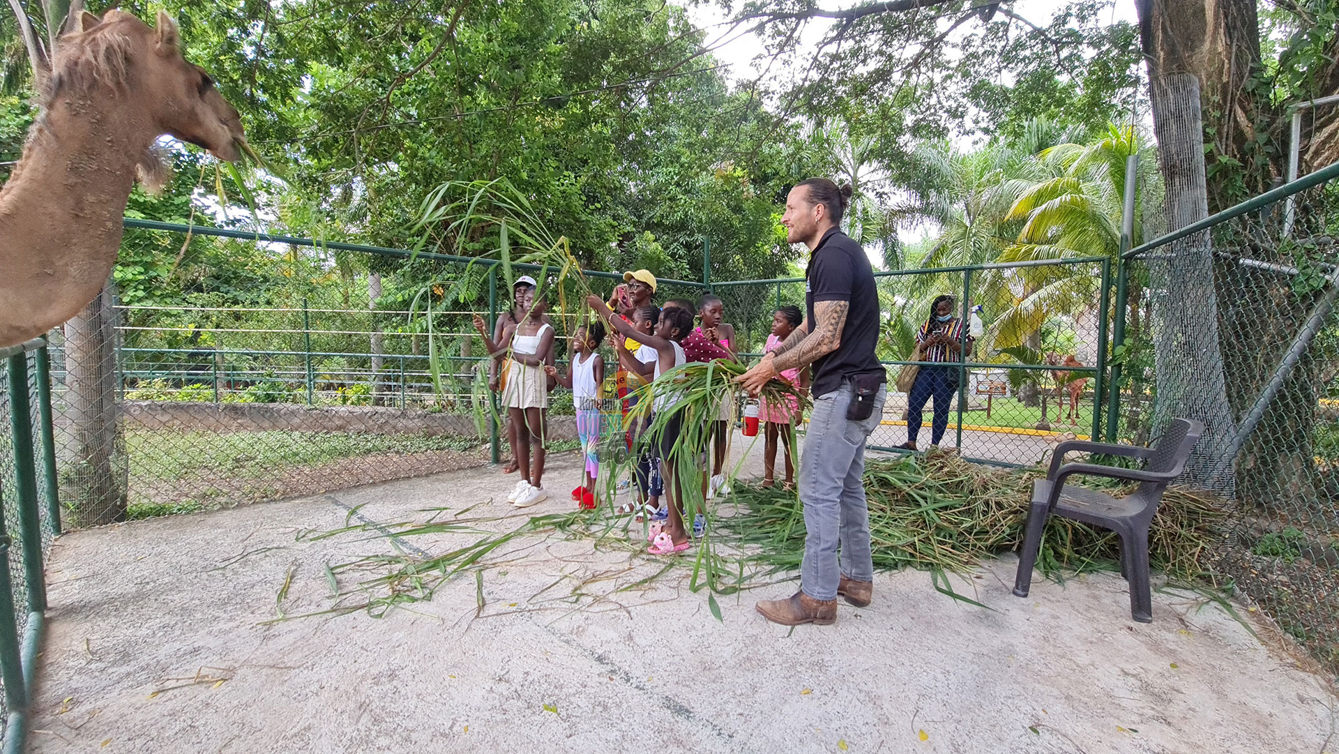 Hope-Zoo---Kingston---Jamaica-2