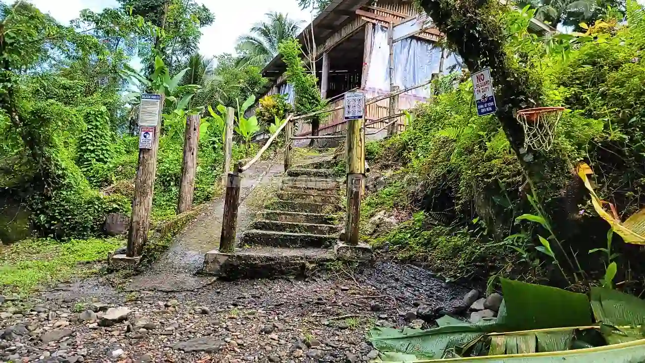 Katawud-Village-Ginger-House-Portland-Jamaica - 4