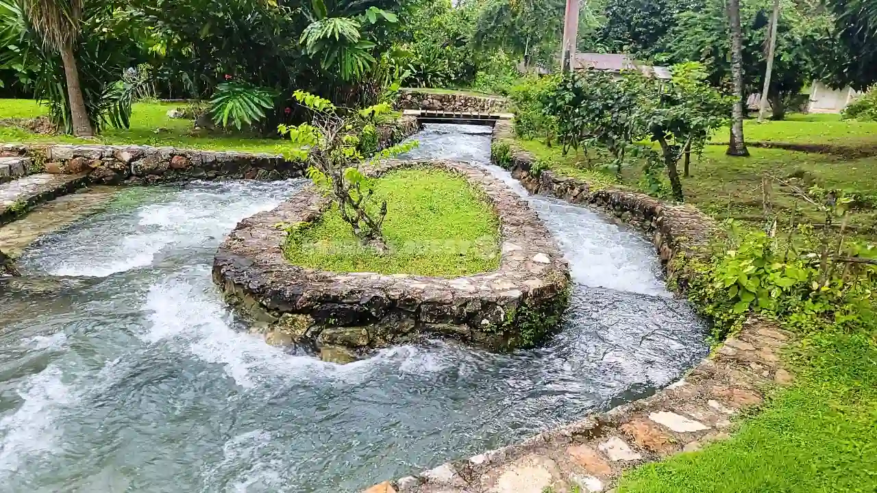 Rasta-Safari-tour-westmoreland-jamaica-3