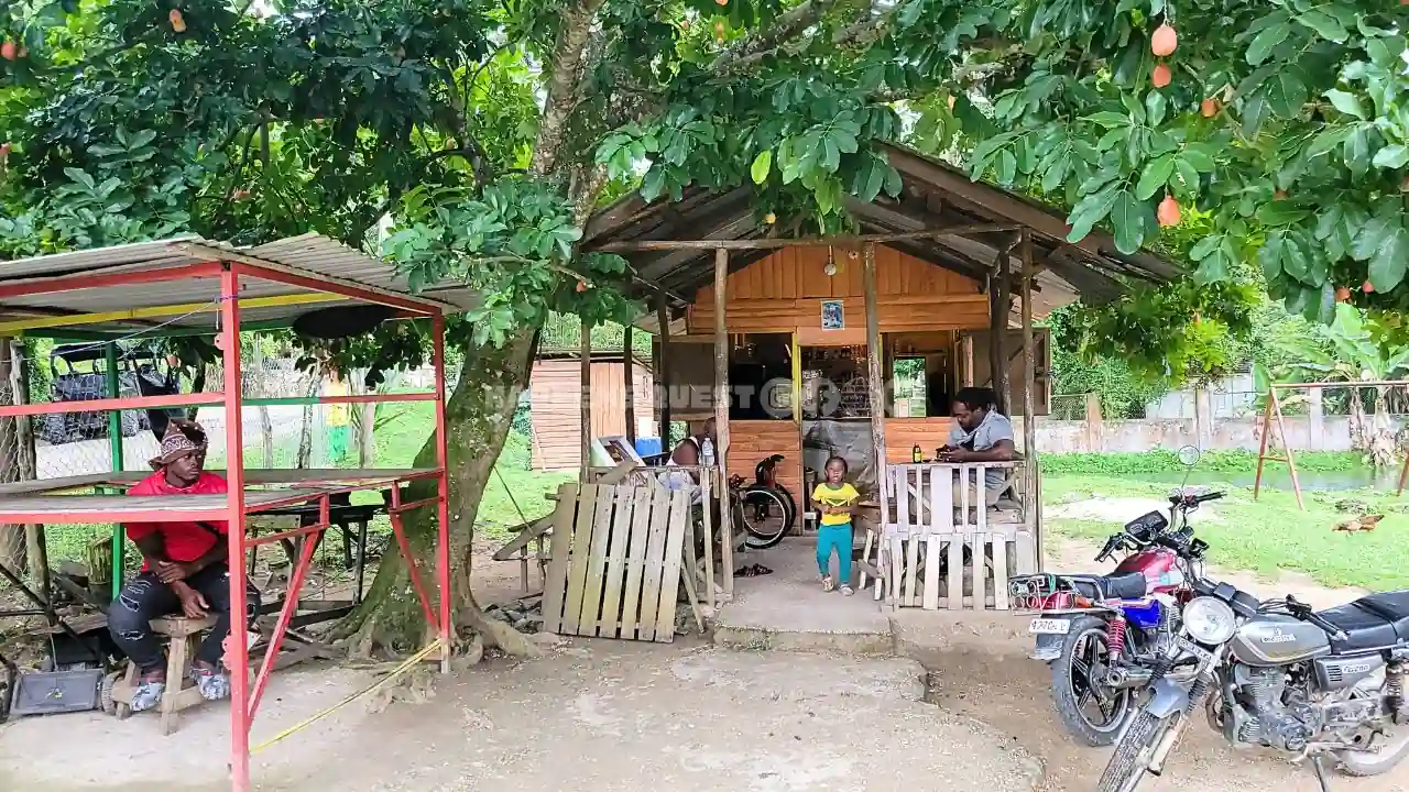 Rasta-Safari-tour-westmoreland-jamaica-4