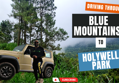 Cover - Blue Mountain - Holywell - Jamaica 3